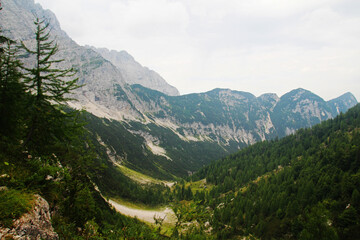 Fototapeta na wymiar The Trenta Valley, Triglav National Park, Slovenia 