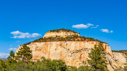 Fototapeta na wymiar Utah-Zion National Park