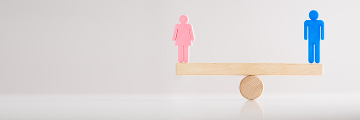 Equal Gender Seesaw Balance