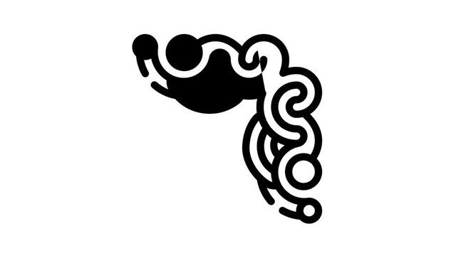 curly corner black icon animation