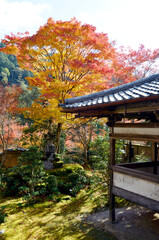 秋の西明寺　紅葉の庭園　京都市