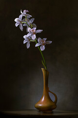 White orchid flower in vase