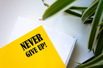 Never give up written on color sticker notes over cork board background.