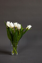 white tulips in a vase on a dark background