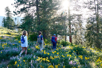 Family hiking in spring meadows. Parents and daugter walking in North Cascade National Park. Winthrop. Washington State. USA 