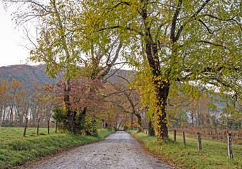 Dawn comes to a valley in Cades Cove.