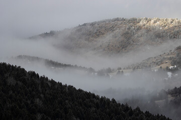 Foggy Mountains