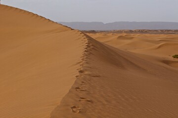 Dunes of Sahara, Morocco, Northern Africa 