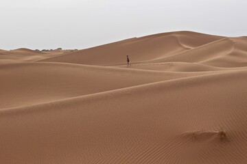 Fototapeta na wymiar Dunes of Sahara, Morocco, Northern Africa 