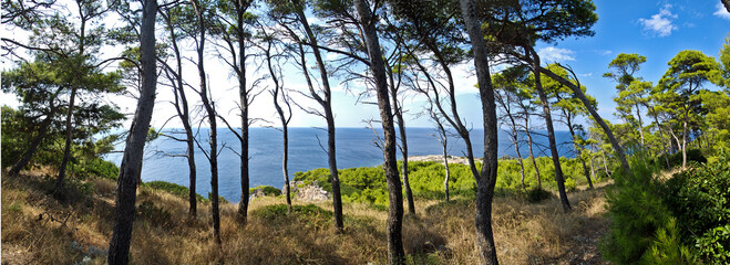 pineta a mare