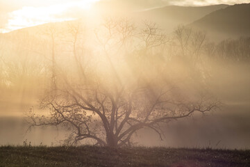 Sunlight lights up a valley in Cades Cove.
