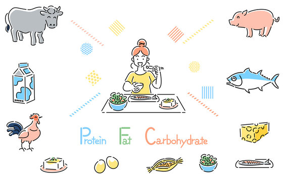 ダイエット　PFCバランス　食事をする人物　女性　イラスト