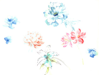 
Flowers watercolor illustration.Manual composition.Big Set watercolor elements，Design for textile, wallpapers，Element for design,Greeting card