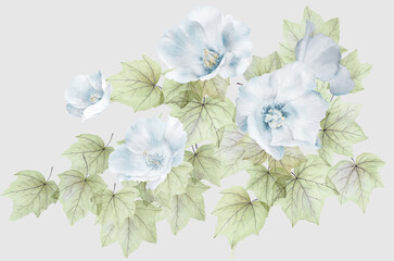 
Flowers watercolor illustration.Manual composition.Big Set watercolor elements，Design for textile, wallpapers，Element for design,Greeting card