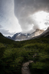 A path that leads to a beautiful valley, between forest and mountains, in Torres del Paine National Park, Chile