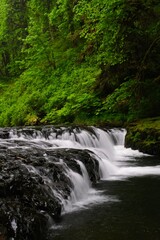 Waterfall in green forest. Silver Falls Park. Oregon. USA 