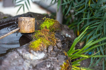 日本のつくばい　和風イメージ