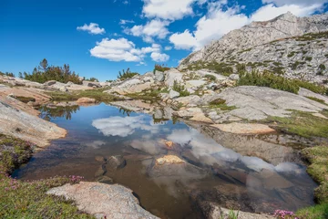 Foto op Canvas Cloud reflection upper Treasure Lakes backpacking © Hladikphotography
