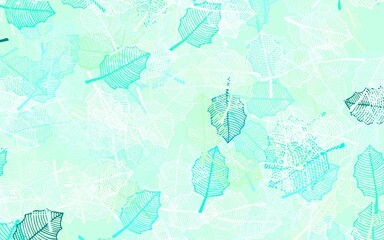 Light Blue, Green vector natural backdrop with leaves.