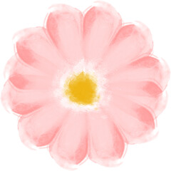 Single pastel pink watercolor flower. Created with real brush strokes. Vector.