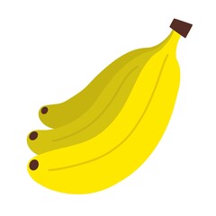 Bananas isolated on white background. Beautiful vector summer fruits. Cute icon in flat style