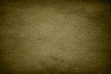 Shadow backgroun Portrait texture Portrait backdrop