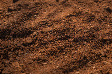 Close up and focus on center image Coffee ground power with sunlight texture background.