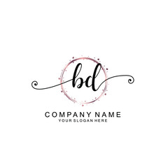 BD beautiful Initial handwriting logo template