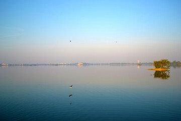 Tree in a Lake at Dawn