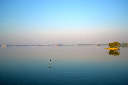 Tree in a Lake at Dawn