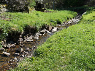 Natural stream running through a garden in Northumberland, England
