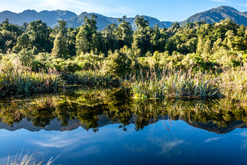 Beautiful mirror lake in the middle of native forest. South Island, New Zealand.
