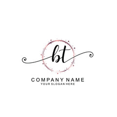 BT beautiful Initial handwriting logo template