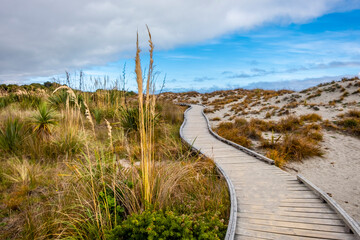 Hiking trail on the beach. South Island, New Zealand.