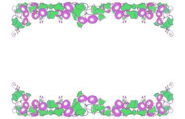 朝顔　手書き　フレーム　イラスト　背景素材