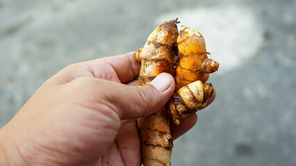 Close up of turmeric root and ginger root