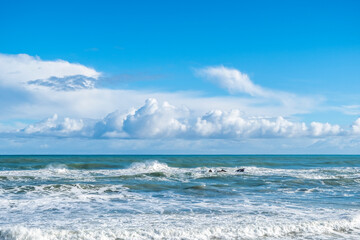 Ocean surf on a remote beach. South Island, New Zealand.