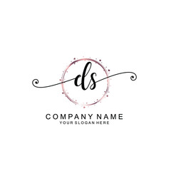 DS beautiful Initial handwriting logo template