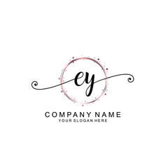 EY beautiful Initial handwriting logo template