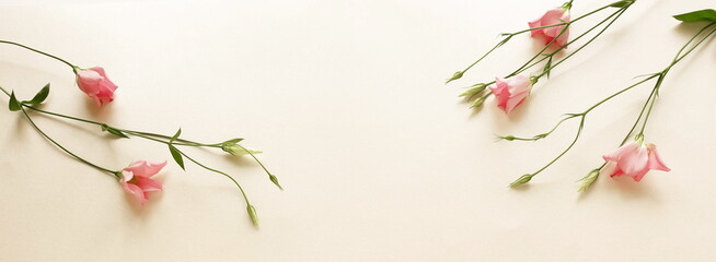 Pink flowers frame on beige background banner.Copy space. floral card