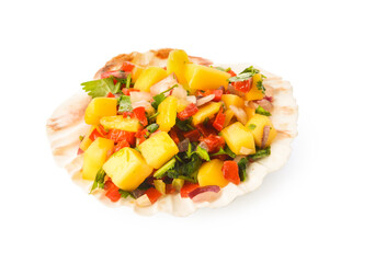 Sea shell with fresh mango salsa on white background