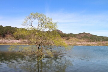 七ヶ宿ダム自然休養公園・七ヶ宿湖　（宮城県七ヶ宿町）