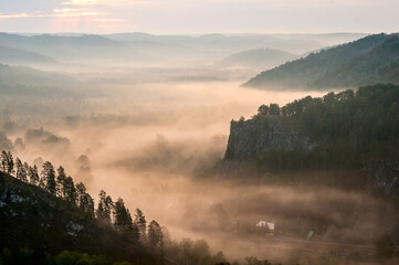 Pine forest is a valley shrouded in fog in the rays of dawn. Muradymovsky gorge