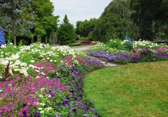 Colourful mixed flowers bed at perennial garden