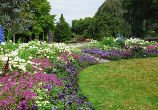 Colourful Mixed Flowers Bed At Perennial Garden