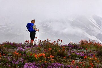 Woman in volcanic monument in wildflowers. Hiking trails on  Mount St Helens volcano. Washington. USA 