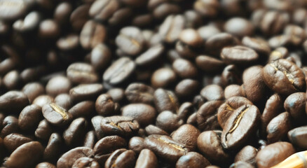 Coffee beans background. Background of roasted coffee beans.