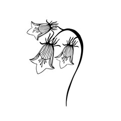 Black silhouette of bluebells. Vector illustration.