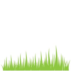 Fototapeta premium grass