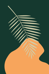 Abstract botanical palm leaf on dark background.